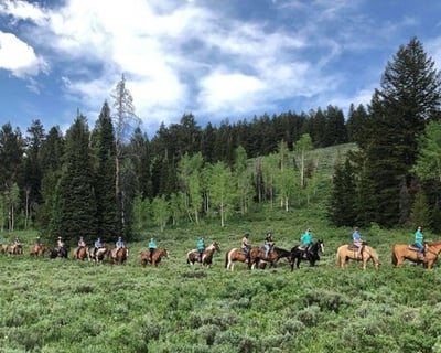 3-Hour Guided Horseback Ride in Logan Canyon