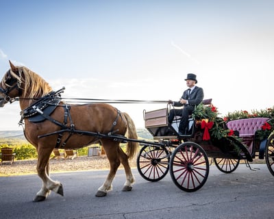 Christmas Horse-Drawn Carriage Ride in Branson