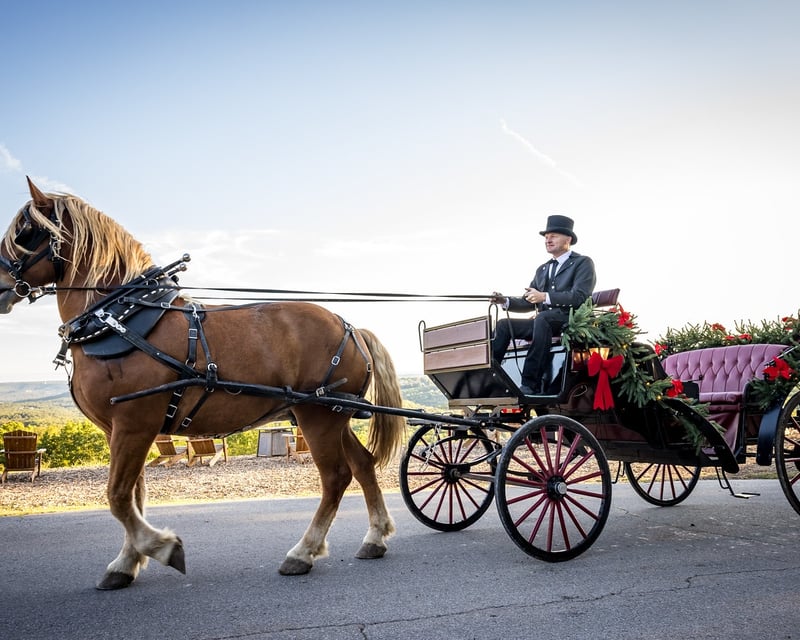 Christmas Horse-Drawn Carriage Ride in Branson