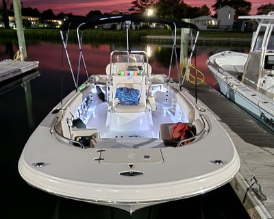 Sunset & Dolphin Cruise in Morehead City