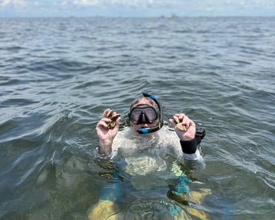 5-Hour Crystal River Scalloping Charter