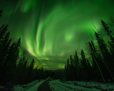 Fairbanks Northern Lights Dog Mushing Tour