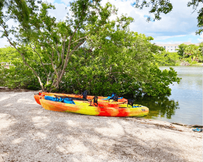 Kayak & Picnic in Sarasota for 3 Hours