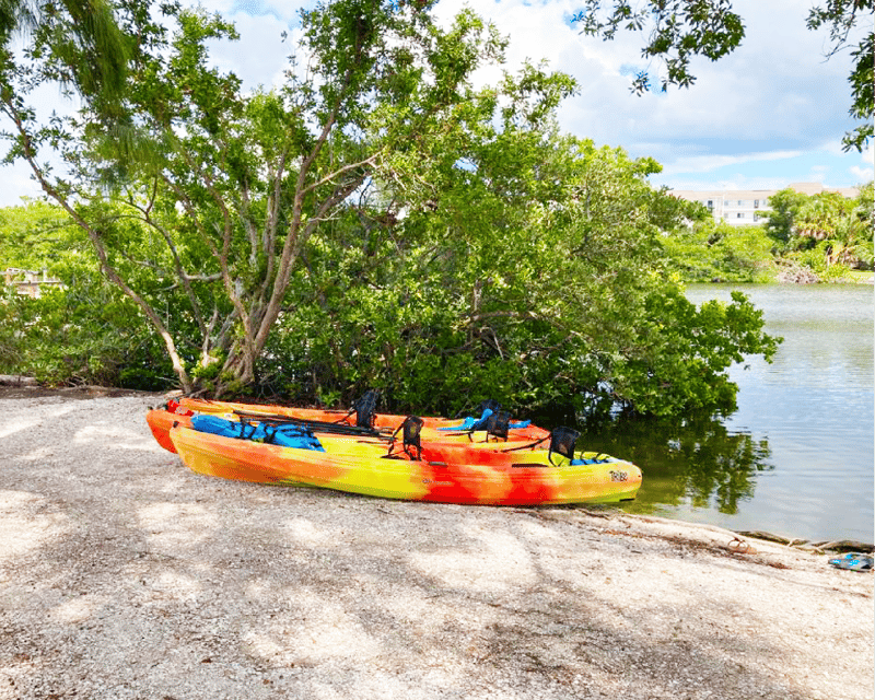 Kayak & Picnic in Sarasota for 3 Hours