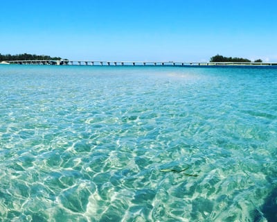 Longboat Key Private Kayak Tour Between 2 Islands