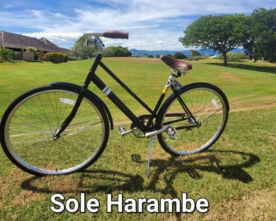 8-Hour Bike Rental in Koloa