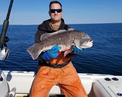 Newport Tautog Fishing Charter