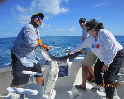 Fish a 4-Hour Split Charter in Key West