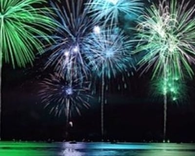 Sunset Fireworks & Dolphins Evening Cruise