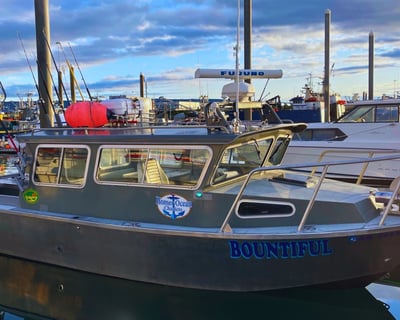 Full-Day Multi-Species Fishing Charter in Homer