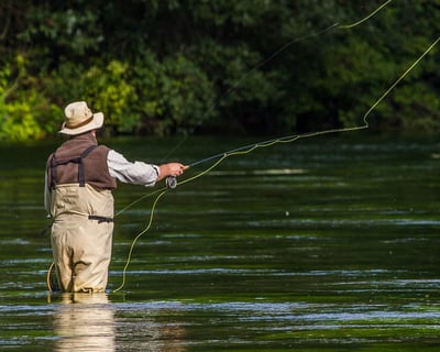 Yellowstone National Park Fly Fishing Guided Tour