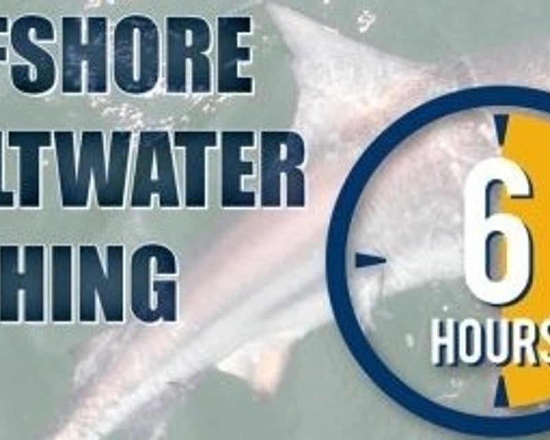 Offshore Shark & Mackerel Fishing Charter in Gulfport