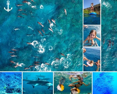 Snorkel Kealakekua Bay Reef & Dolphin Cruise