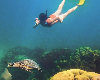 Islamorada Sandbar & Snorkel Cruise
