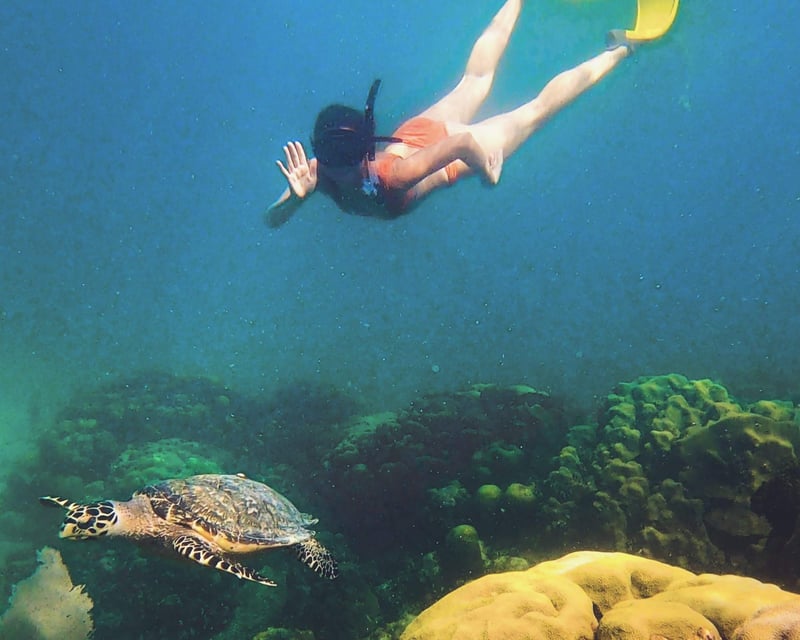 Islamorada Sandbar & Snorkel Cruise
