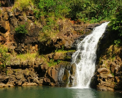 Explore Oahu Circle Island Tour With Waimea Garden