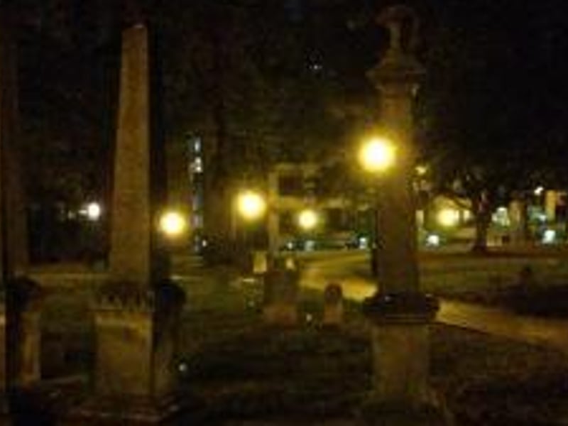 Gallery image 2