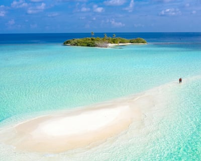 Key West 4-Hour Sandbar Charter
