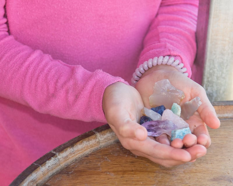 Family Gemstone Panning & Fossil Dig in Kellogg