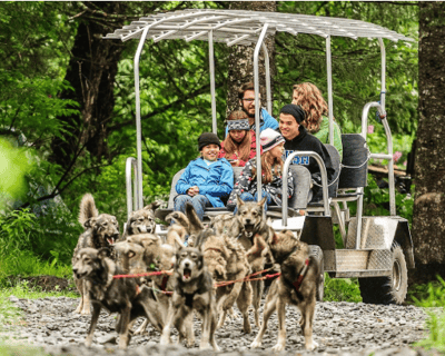 Dog Mushing & Gold Panning Combo in Seward