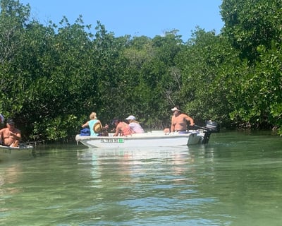 Explore Key West Mangroves on a 3-Hour Dinghy Tour
