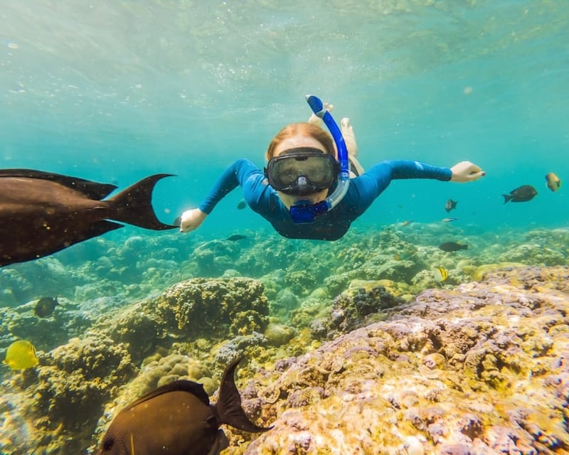 Private Snorkel, Sandbar & Dolphin Tour in Key West