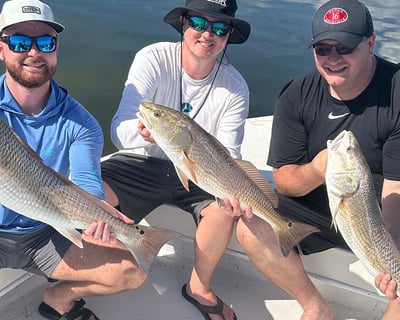 St. Petersburg 4-Hour Inshore Fishing Charter