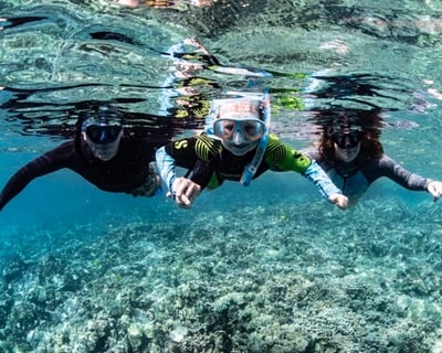 Kealakekua Bay 3-Hour Ocean Safari Cruise