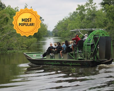 Standard Airboat Tour for Up to 10 Passengers