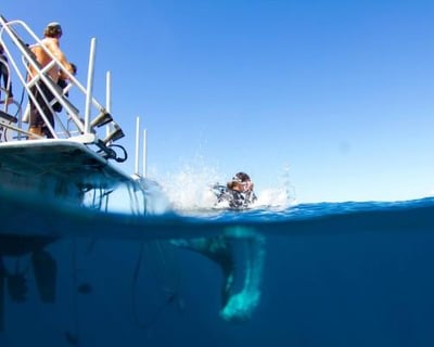 Take a 2-Tank Morning Boat Dive in Poipu