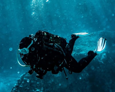 Key West 4-Hour Guided Dive Charter