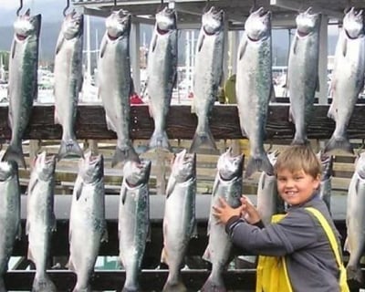 Seward Half-Day Salmon Fishing Charter
