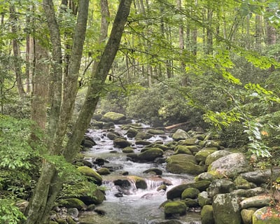 Smoky Mountains Roaring Fork Guided Jeep Tour