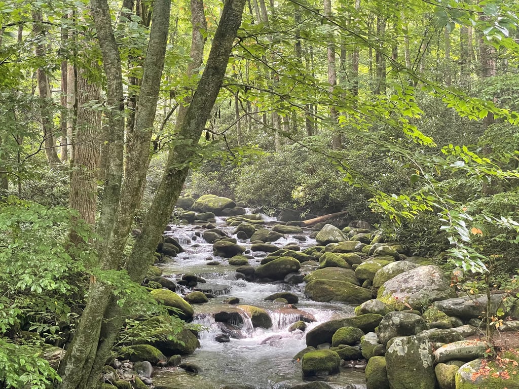 Smoky Mountains Roaring Fork Guided Jeep Tour