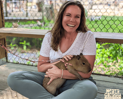 Meet Baby Capybaras in North Georgia