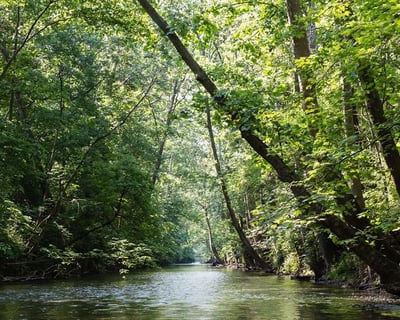 4-Hour Mad River Tubing Trip in Urbana