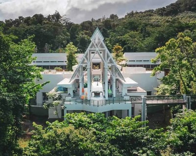 Accessible El Yunque Rainforest Guided Tour