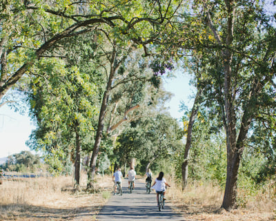 Vine Trail Explorer 2-Day Bike Rental