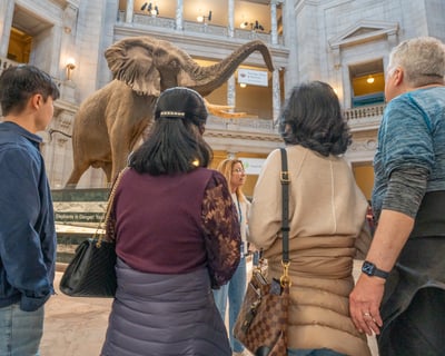 Smithsonian Museum Highlights Walking Tour in DC