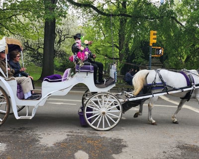 Ride a Horse Carriage Through Central Park