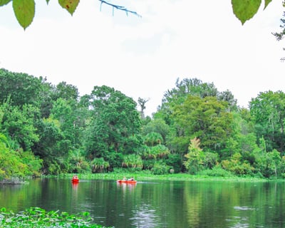 Self-Guided Kayak Rental at Wekiwa Springs