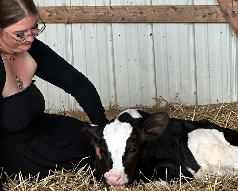 Private Baby Calf Cuddling Session in Easton, PA