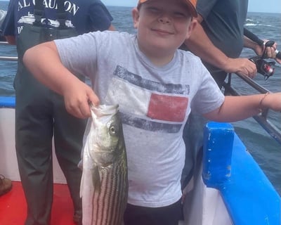 4 Hour Striped Bass Fishing