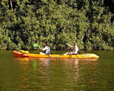 5-6-Hour Wailua River Kayak & Hike Tour