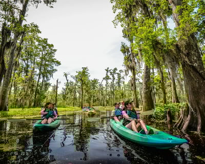 Manchac Swamp Kayak Tour with Ghost Town Views