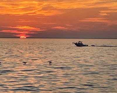 Port St. Joe Sunset Cruise