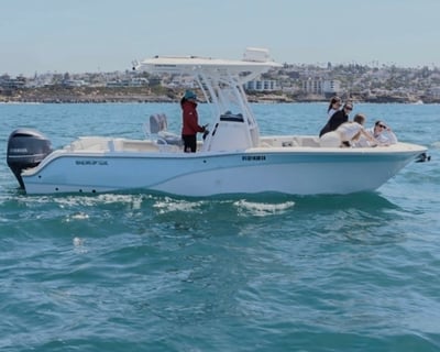 Private Whale-Watching Charter in San Diego