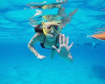 Destin Dolphin and Snorkel Catamaran Excursion