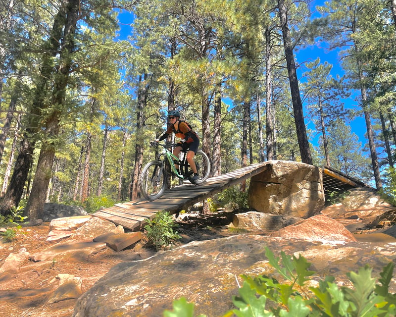Durango Electric Mountain Bike Trail Tour with Local Guide