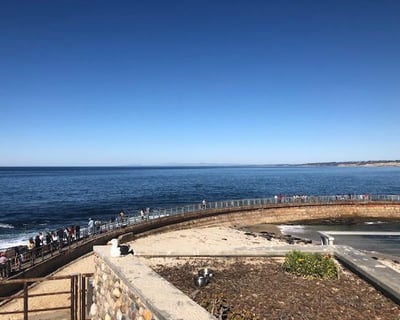 La Jolla 10K Guided Running Tour